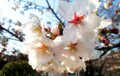 20090329155840