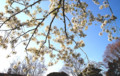 20090329161730