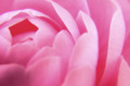 20090329163021
