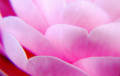 20090329163055
