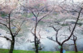 20090330163052