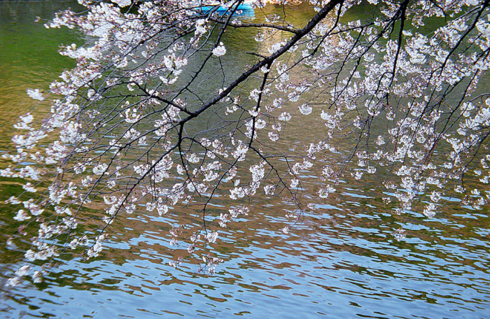 f:id:ando1947:20090330164721j:image