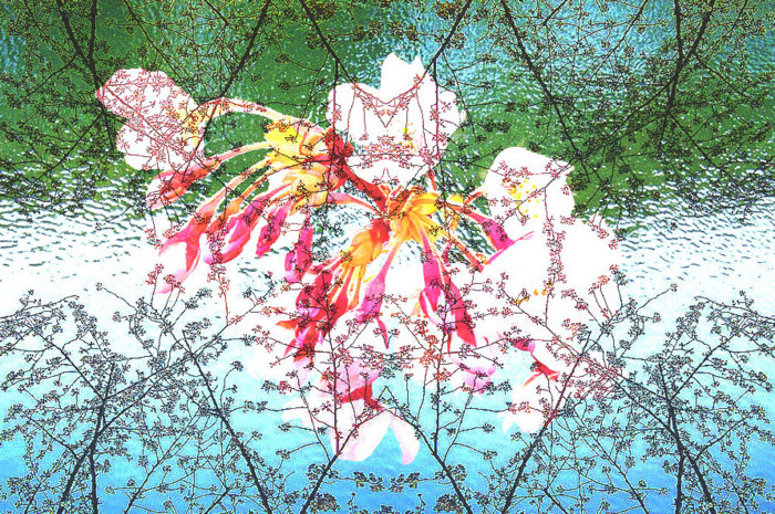 20090330165504