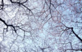 20090330165832