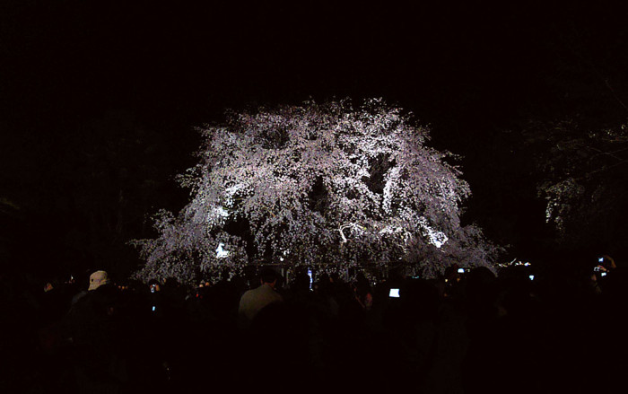 f:id:ando1947:20090330191103j:image