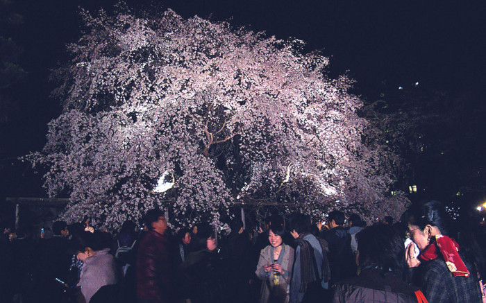 f:id:ando1947:20090330191352j:image
