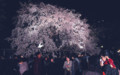 20090330191352