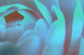 20090330191703