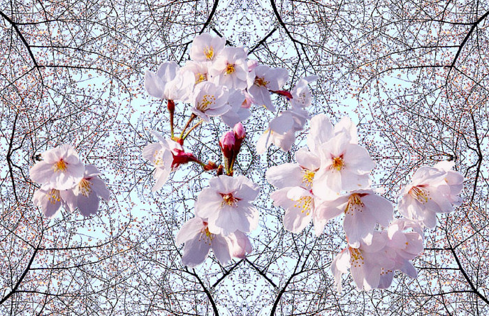 f:id:ando1947:20090403024516j:image f:id:ando1947:20090403024516j:image