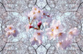 20090403024516