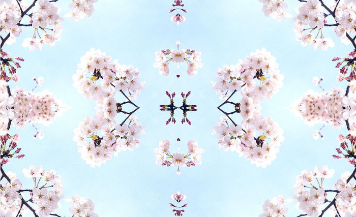 f:id:ando1947:20090403142205j:image