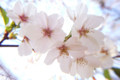 20090403142317