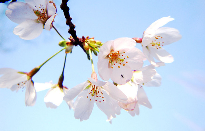 f:id:ando1947:20090403142340j:image