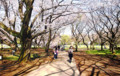 20090403144353