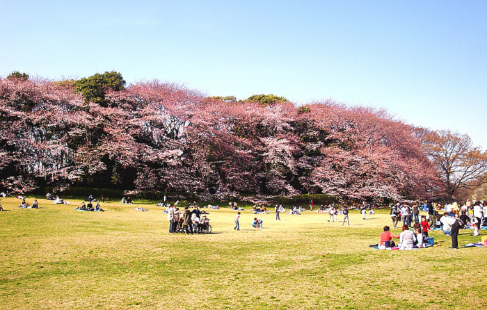 20090403144513