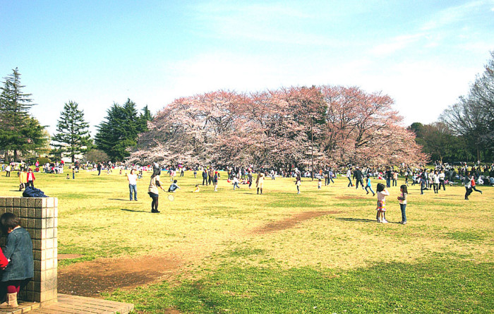 20090403145059
