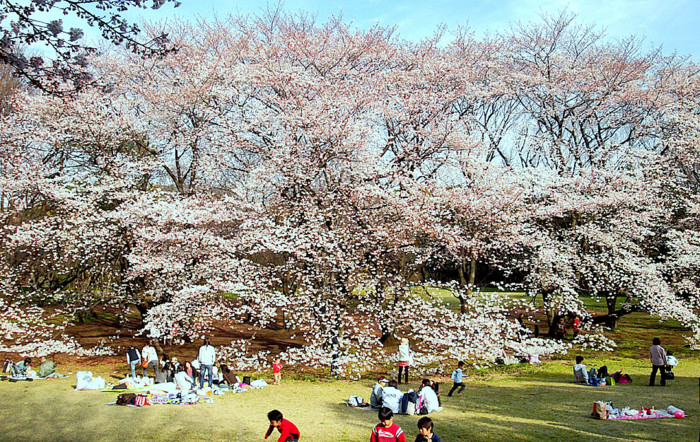 f:id:ando1947:20090403153323j:image