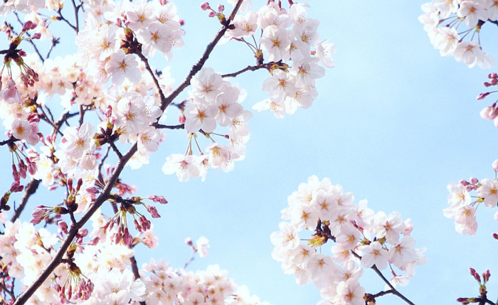 f:id:ando1947:20090403153829j:image