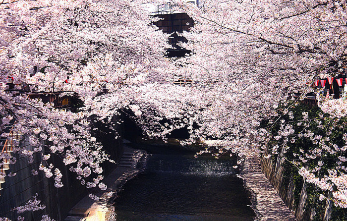 f:id:ando1947:20090406105843j:image f:id:ando1947:20090406105843j:image