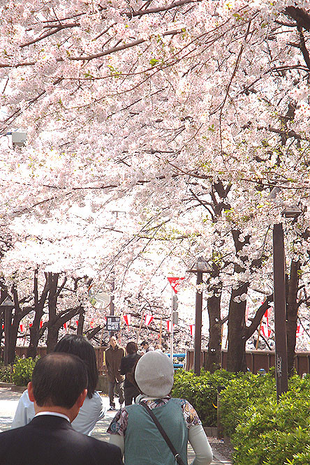 f:id:ando1947:20090406110146j:image f:id:ando1947:20090406110146j:image