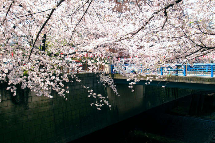 f:id:ando1947:20090406110403j:image f:id:ando1947:20090406110403j:image