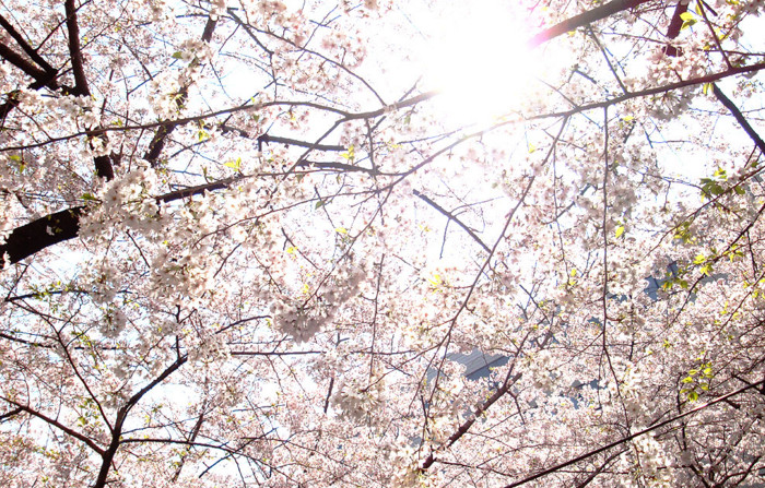 f:id:ando1947:20090406110440j:image f:id:ando1947:20090406110440j:image