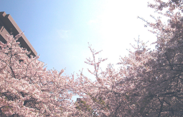 f:id:ando1947:20090406110731j:image f:id:ando1947:20090406110731j:image