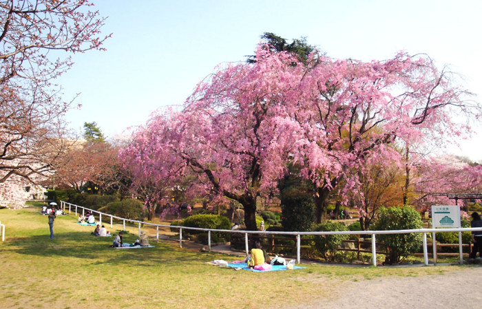 f:id:ando1947:20090407150913j:image f:id:ando1947:20090407150913j:image