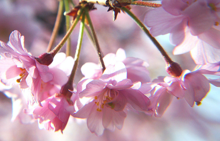 20090407151822