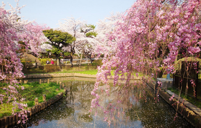 f:id:ando1947:20090407152237j:image f:id:ando1947:20090407152237j:image
