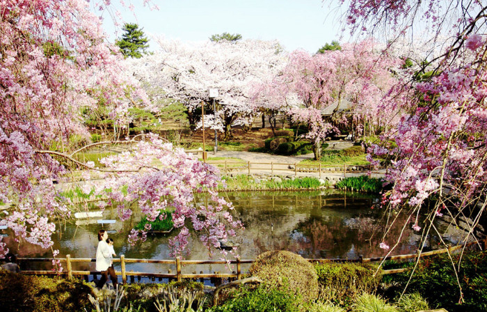 f:id:ando1947:20090407152616j:image f:id:ando1947:20090407152616j:image