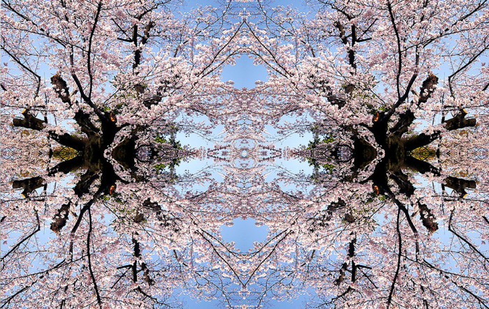 f:id:ando1947:20090407191505j:image f:id:ando1947:20090407191505j:image
