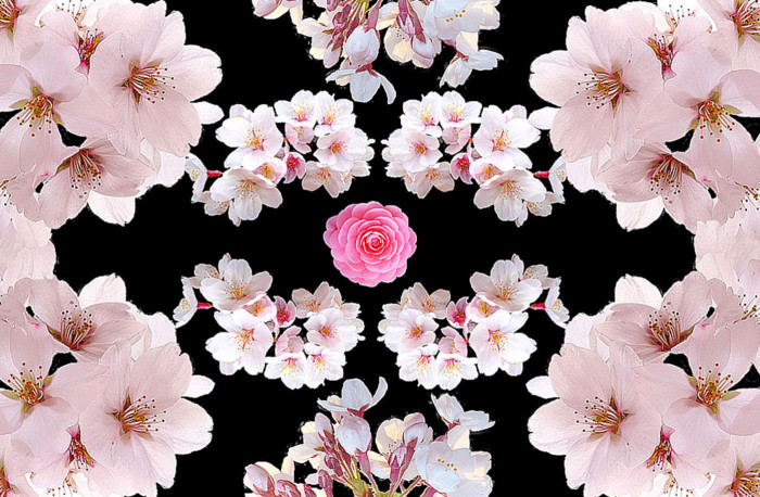 f:id:ando1947:20090409123951j:image