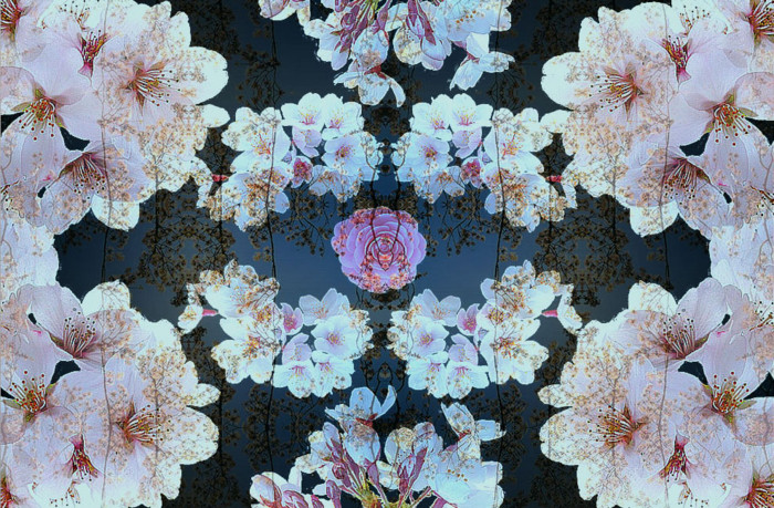 f:id:ando1947:20090409161801j:image