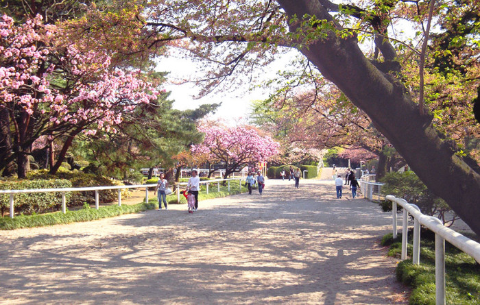 f:id:ando1947:20090411143707j:image f:id:ando1947:20090411143707j:image