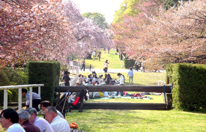 f:id:ando1947:20090411144154j:image f:id:ando1947:20090411144154j:image