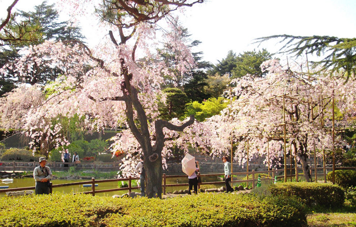 f:id:ando1947:20090411144308j:image f:id:ando1947:20090411144308j:image
