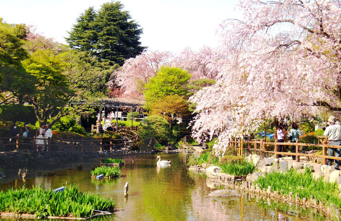 f:id:ando1947:20090411144417j:image f:id:ando1947:20090411144417j:image