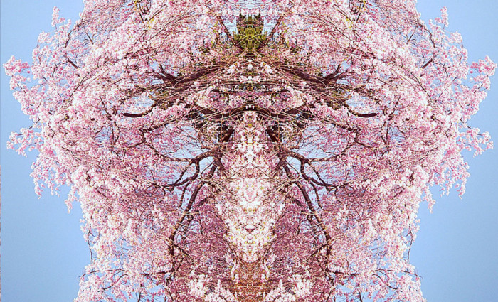 f:id:ando1947:20090411144457j:image f:id:ando1947:20090411144457j:image