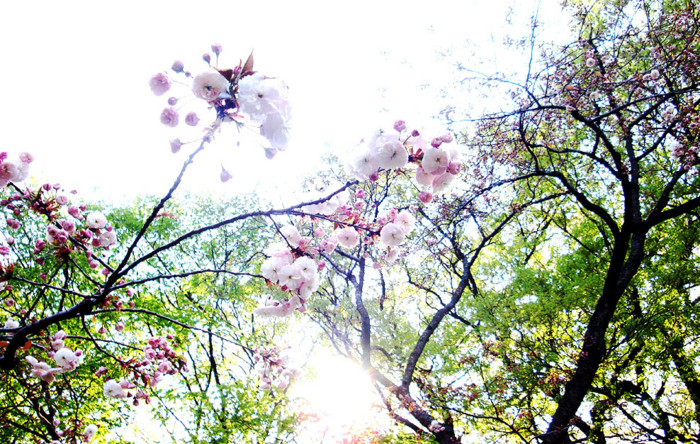 f:id:ando1947:20090411145847j:image f:id:ando1947:20090411145847j:image