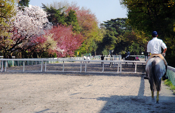 f:id:ando1947:20090411150645j:image f:id:ando1947:20090411150645j:image