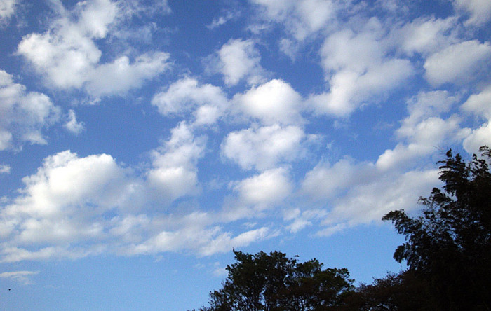 f:id:ando1947:20090415171053j:image f:id:ando1947:20090415171053j:image