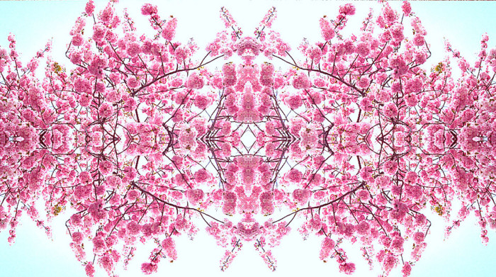f:id:ando1947:20090415185527j:image f:id:ando1947:20090415185527j:image