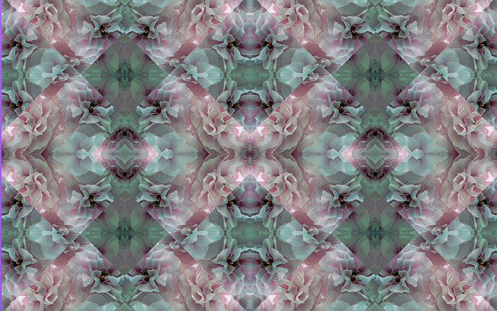 f:id:ando1947:20090419024242j:image f:id:ando1947:20090419024242j:image