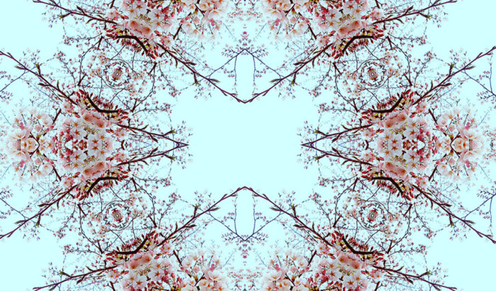 f:id:ando1947:20090422032119j:image
