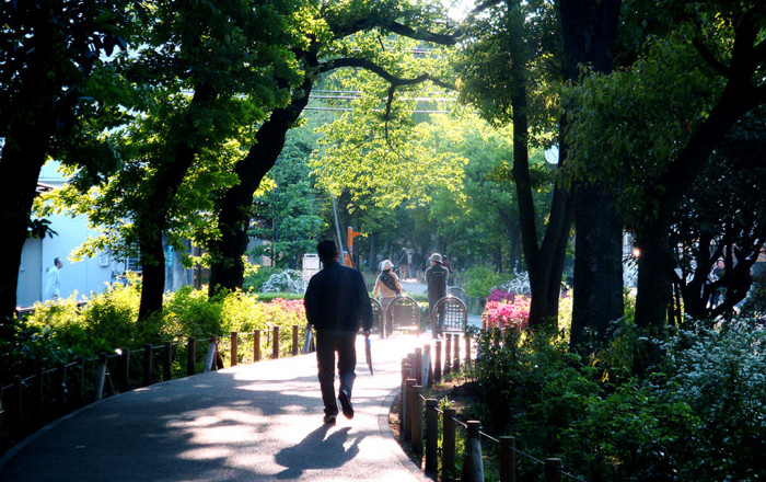 f:id:ando1947:20090429165110j:image
