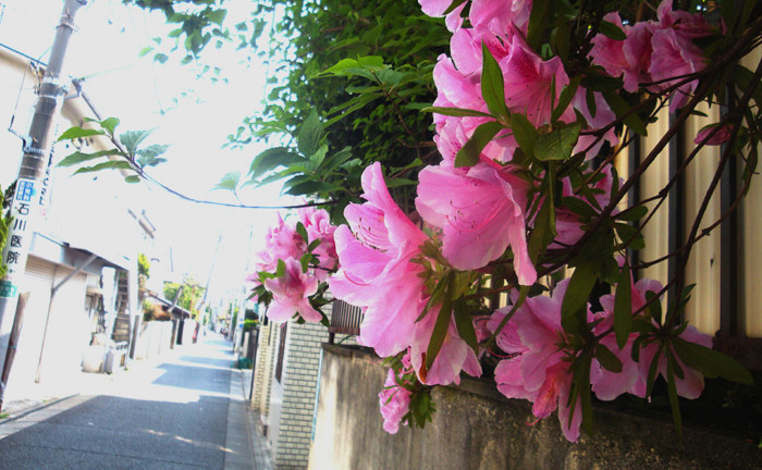 f:id:ando1947:20090430141437j:image f:id:ando1947:20090430141437j:image