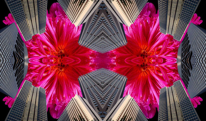 f:id:ando1947:20090504231535j:image f:id:ando1947:20090504231535j:image