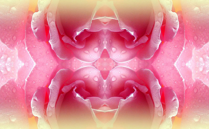 f:id:ando1947:20090507165837j:image
