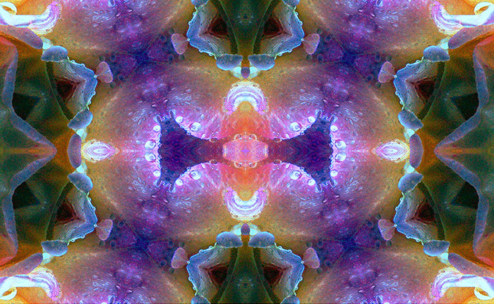 f:id:ando1947:20090508045906j:image